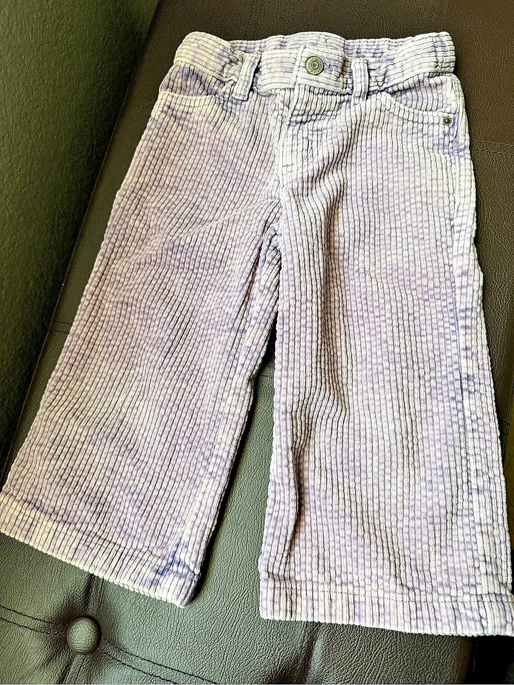Cat & Jack Girls 2T Purple Corduroy Pants Like New